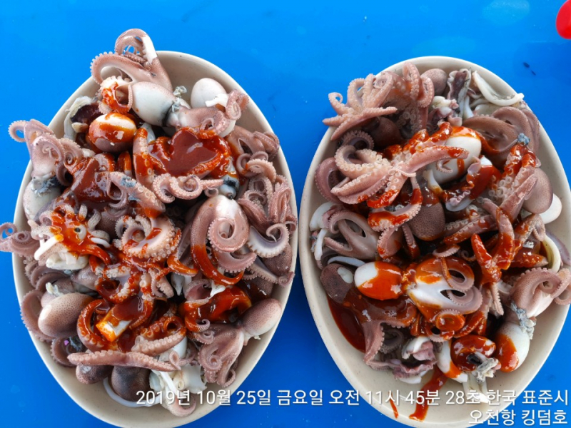 10월25일 금요일 쭈,갑 대박조황 입니다