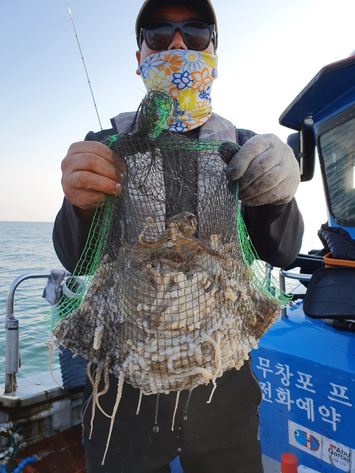 쭈 아폴로호 11. 4 (월) 무창포프로낚시 "아폴로호" ----------- 쭈꾸미 ------------ 조황
