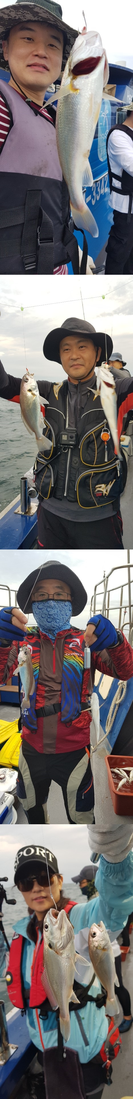 "힐링호" 8월24일 백조기낚시 손맛 잘보고 돌아왔습니다..~~
