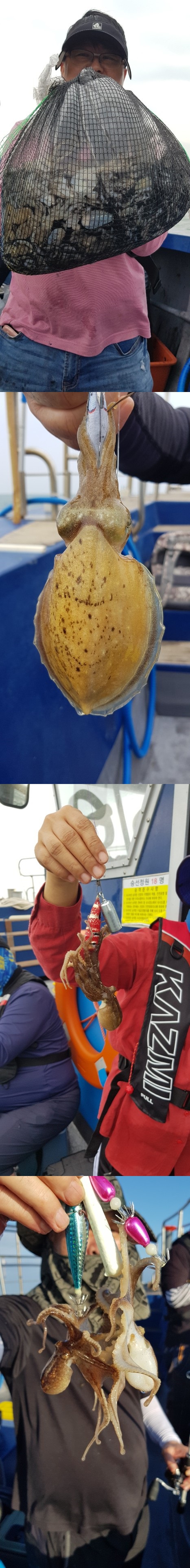 """힐링호""" 9월 10일 ---쭈꾸미낚시--- 조황입니다..~~