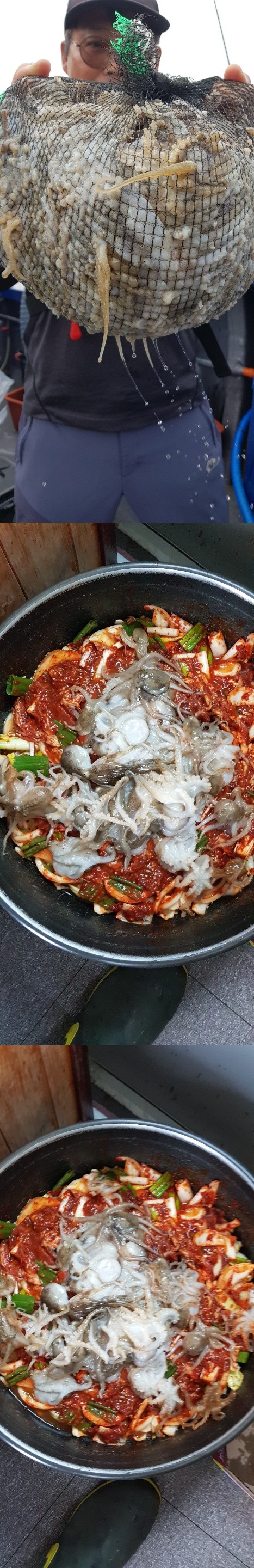 """힐링호""" 9월 10일 ---쭈꾸미낚시--- 조황입니다..~~