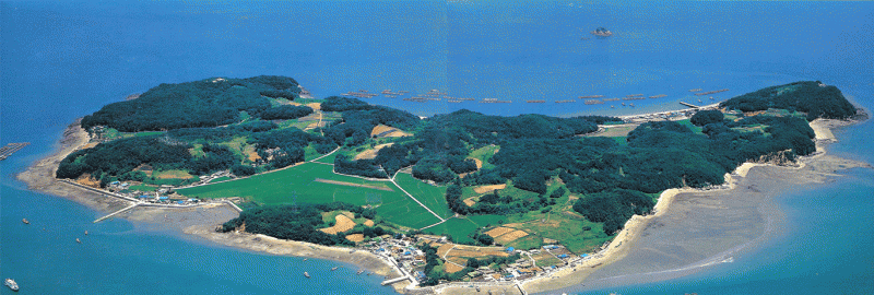 효자도