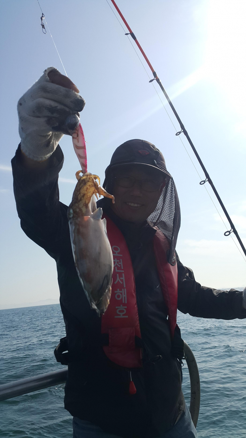 10월25일 오천서해호 쭈꾸미 조황입니다